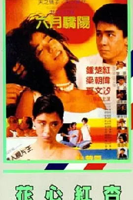 男同www.网站