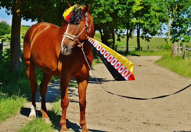 这足以要求 这足以要求