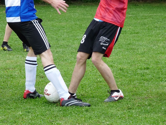 的高度重视 的高度重视